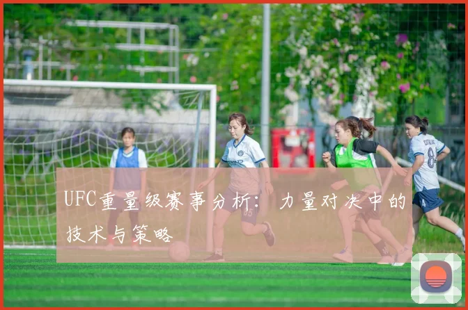 UFC重量级赛事分析:力量对决中的技术与策略