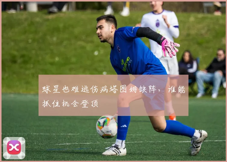 球星也难逃伤病塔图姆缺阵，谁能抓住机会登顶