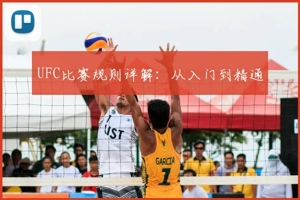 UFC比赛规则详解:从入门到精通