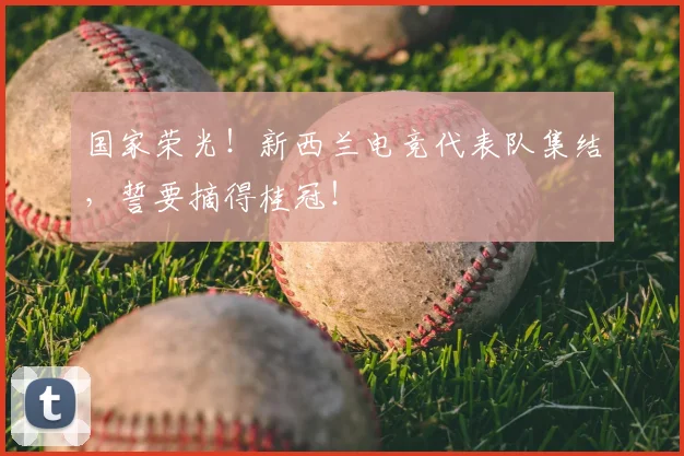 国家荣光!新西兰电竞代表队集结,誓要摘得桂冠!