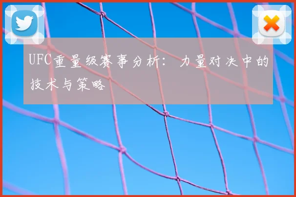 UFC重量级赛事分析：力量对决中的技术与策略